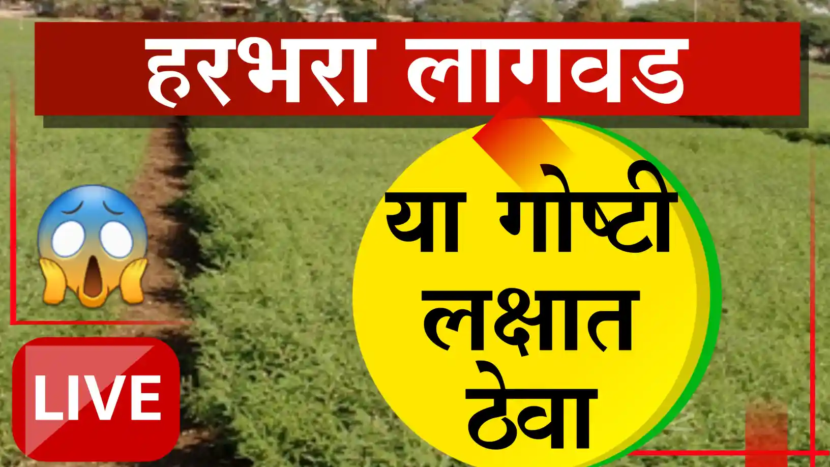 हरभरा पेरणीला उशीर झालाय