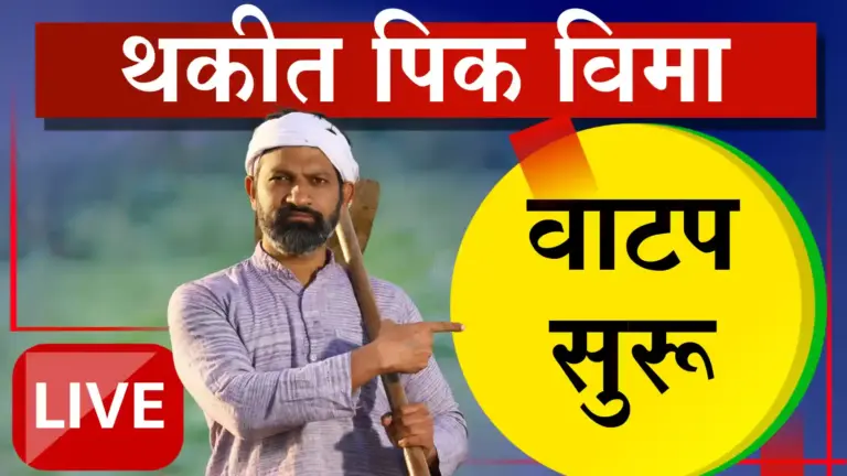 बुलडाणा जिल्ह्यातील शेतकऱ्यांसाठी खुशखबर! खरीप पीक विमा २०२४ चे २१२ कोटी रुपये वितरणास सुरुवात