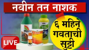 राउंडअपला पर्याय? बायरचे ‘अलायन प्लस’ तणनाशक दाखल; एकदा फवारणी केल्यास ५ ते ६ महिने तण